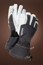 Black Hestra Men's Army Leather Gore-Tex Ski Gloves